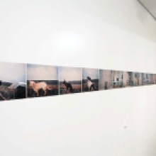 Série Corredor da Morte, fotomontagens – 25×18 cm.